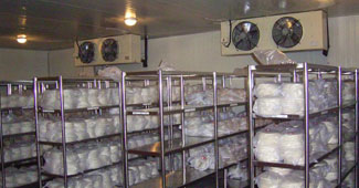 仓储货架系统在冷库中的合理规划与布局